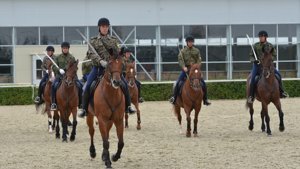 Верховая езда на лошади