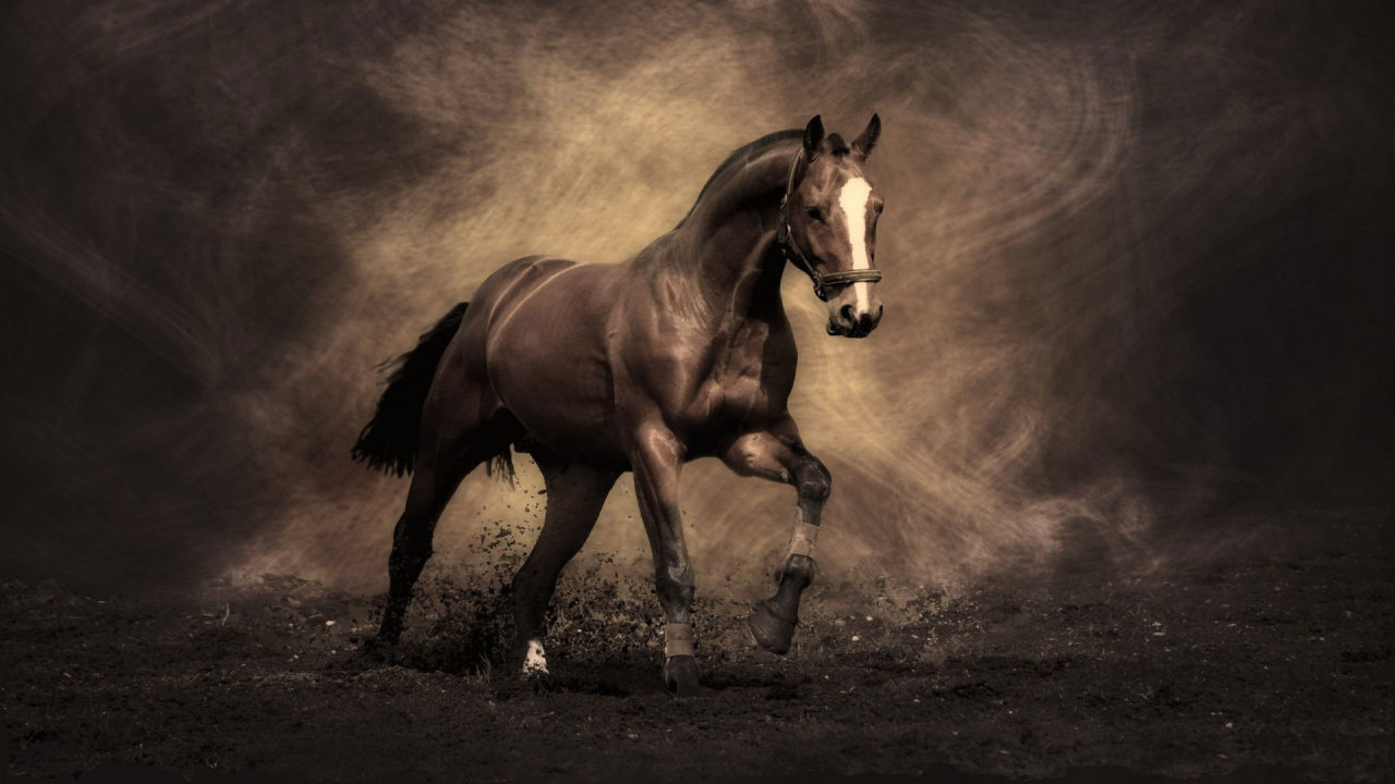 Самые знаменитые лошади