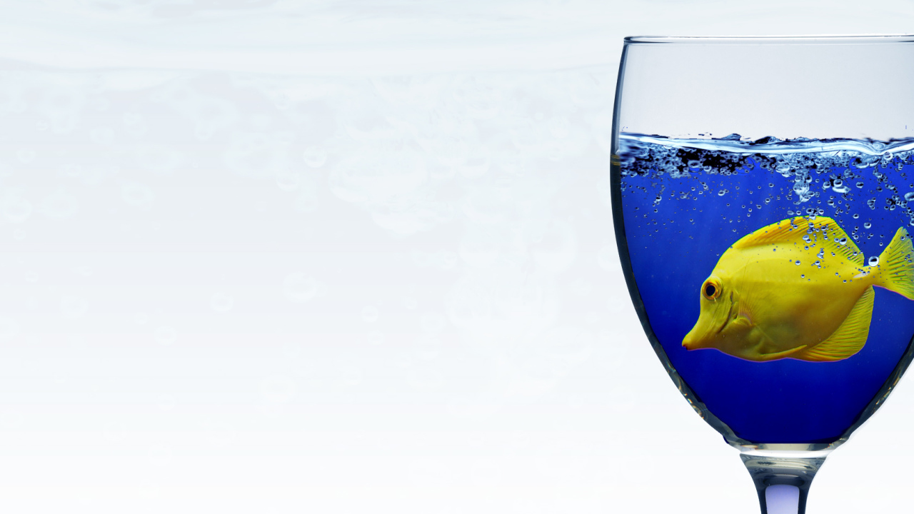 Рыба в бокале