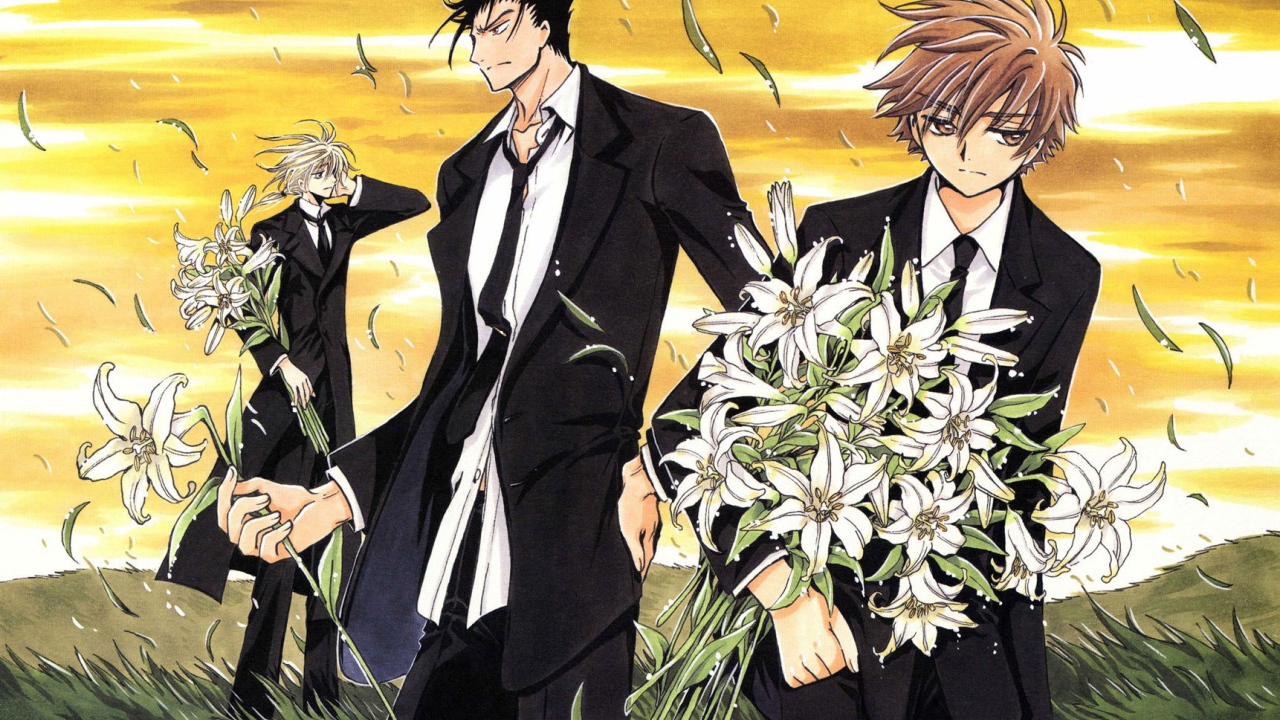 Хроника Крыльев