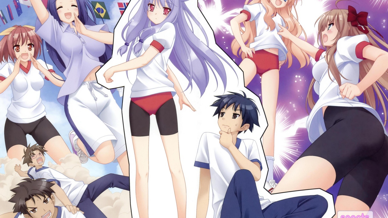 Нашествие бродячих кошек!