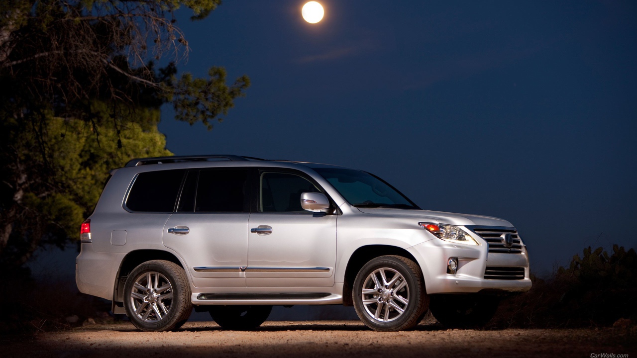 Лексус под луной