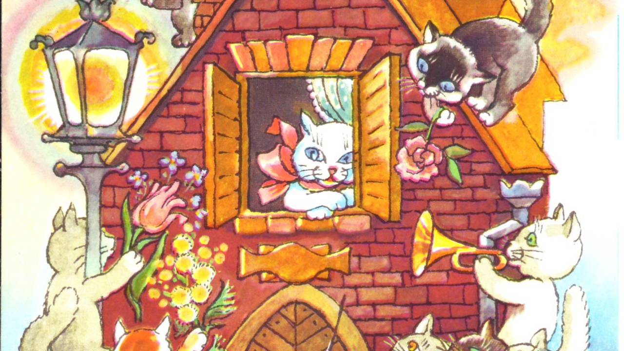 Домашние коты