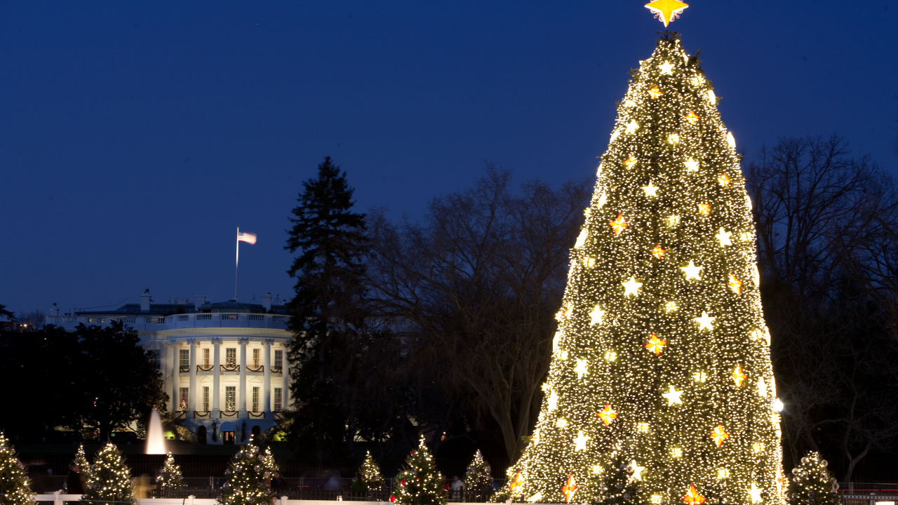 Большая ёлка в городе на рождество