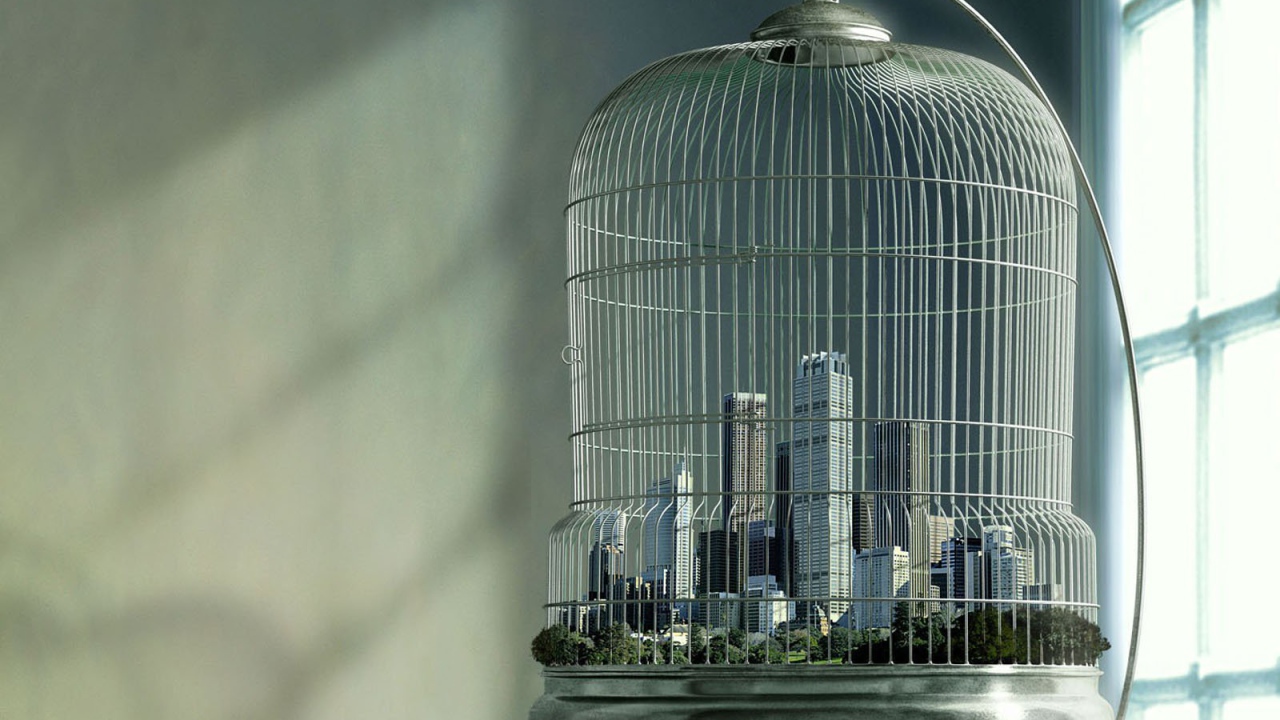 Город в клетке