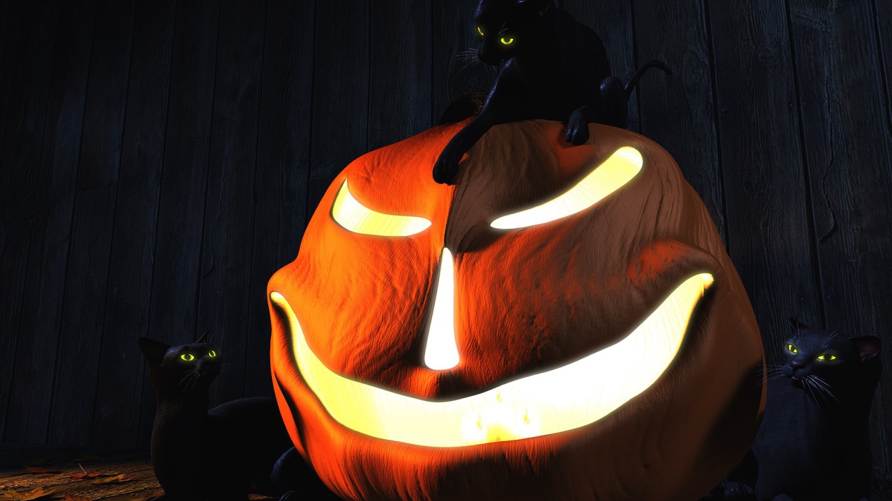 Три черных кота