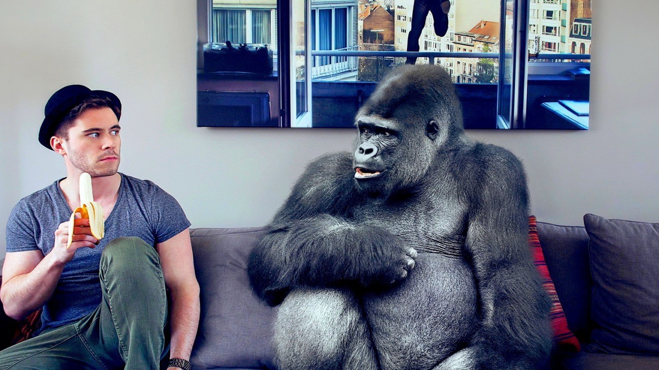 Давид Олкарни с обезьяной