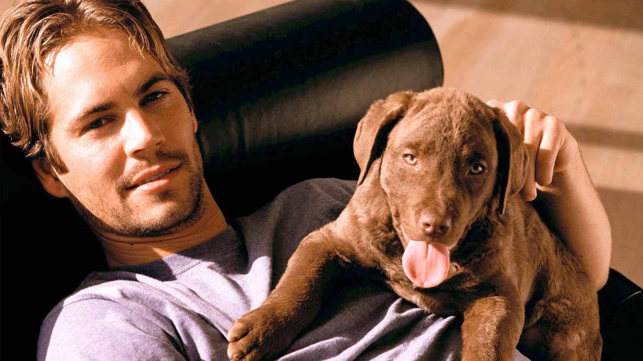 Пол Уокер актер фильма Форсаж и его собака