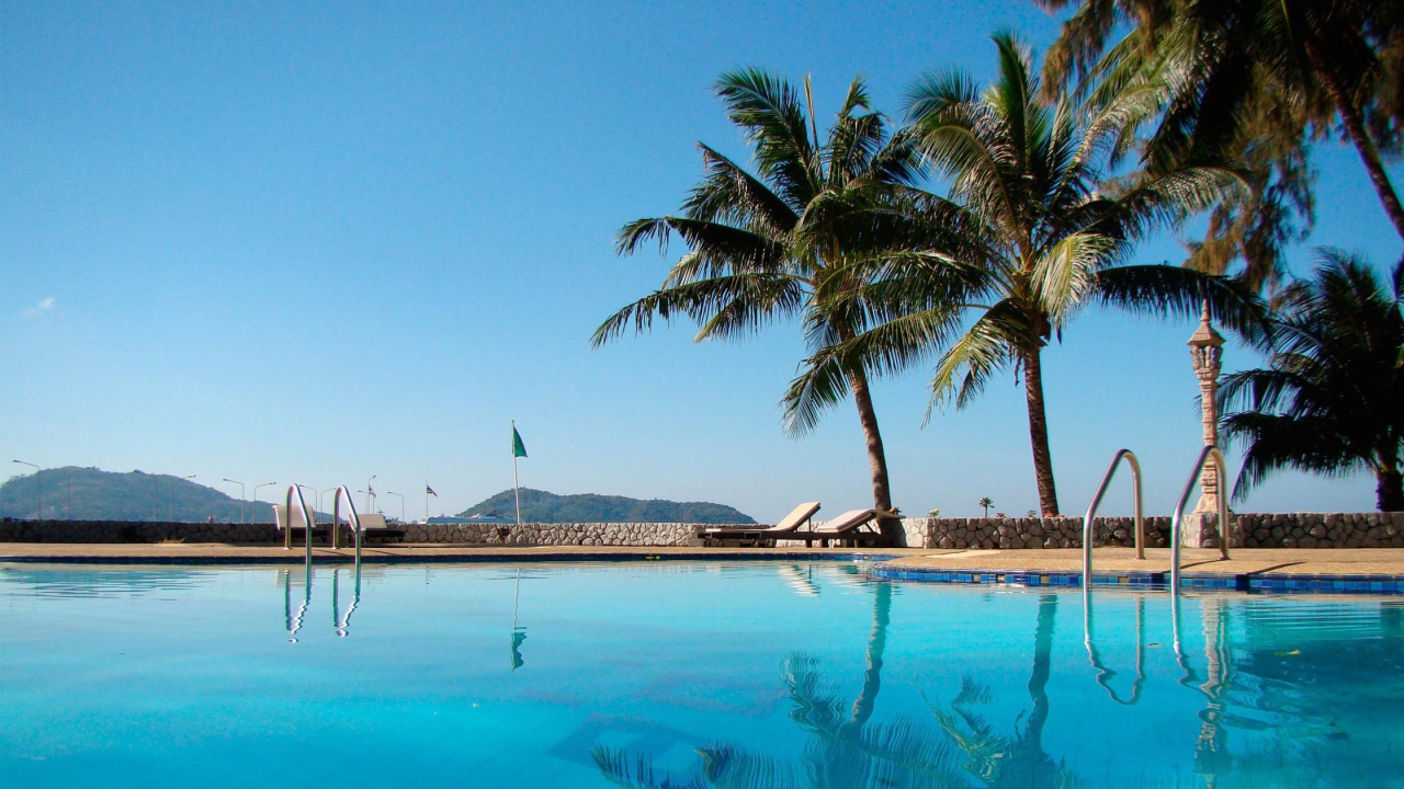 Бассейн и пальмы