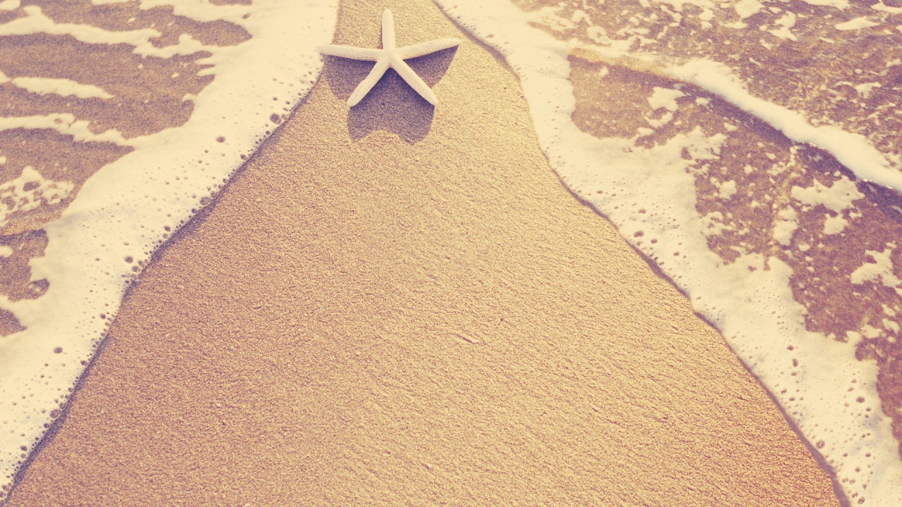 Морская звезда на пляже