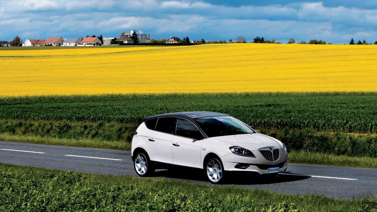 Автомобиль едет среди полей