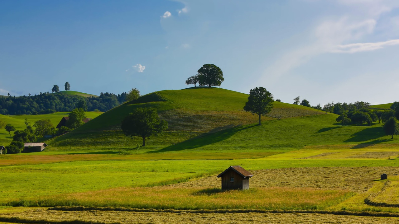 Урожайные поля