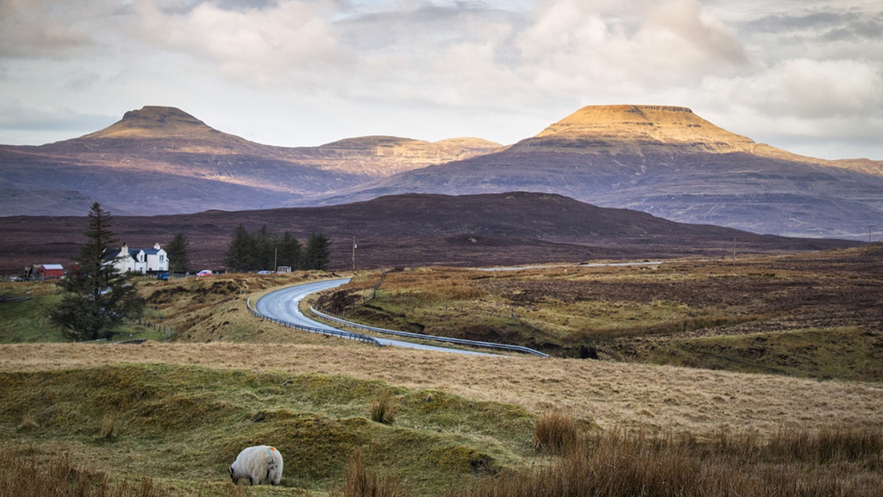 Дорога через поле в горы