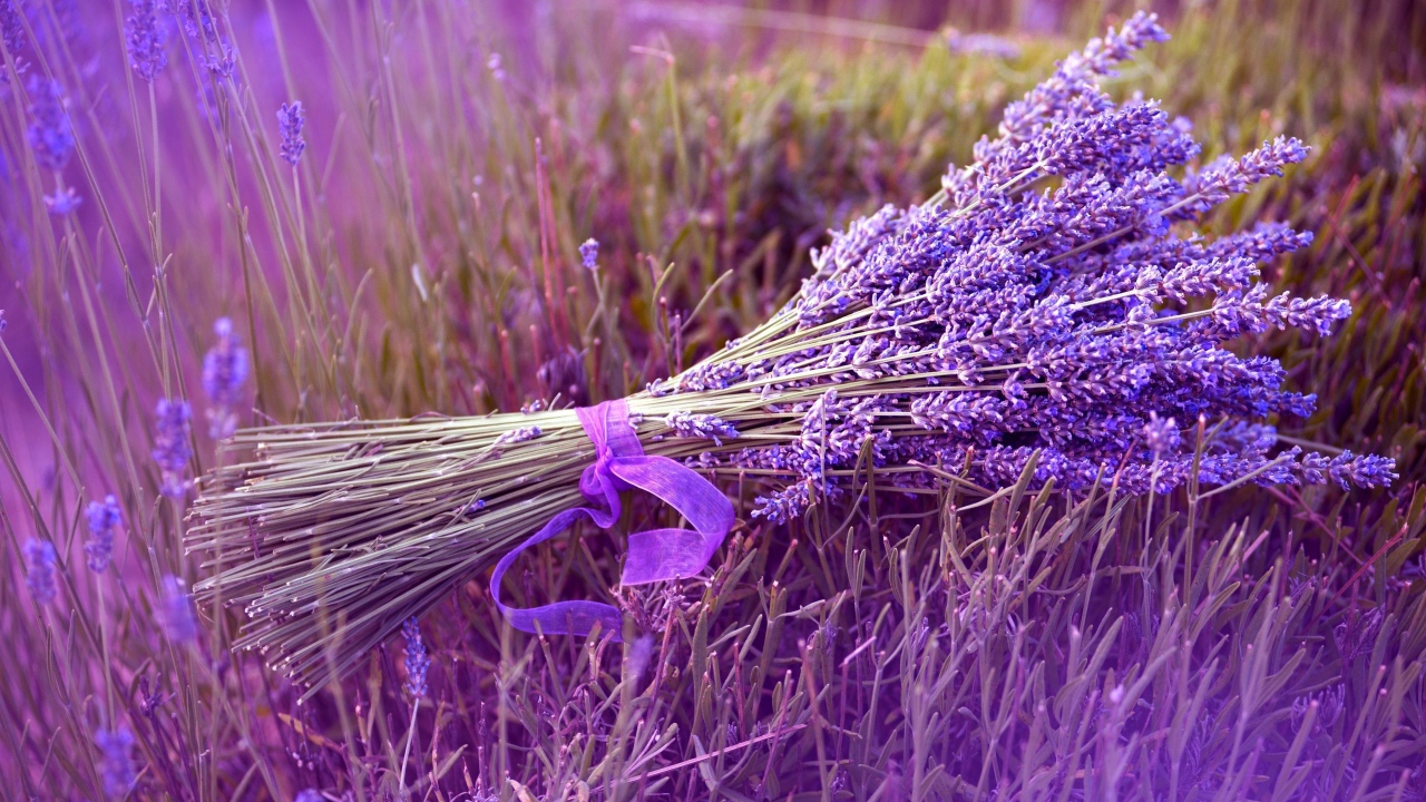 Букет из синих полевых цветов