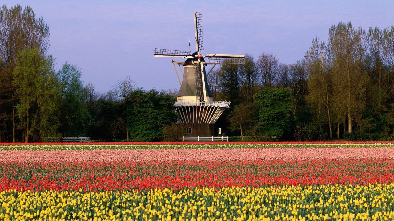 The Netherlands landscape