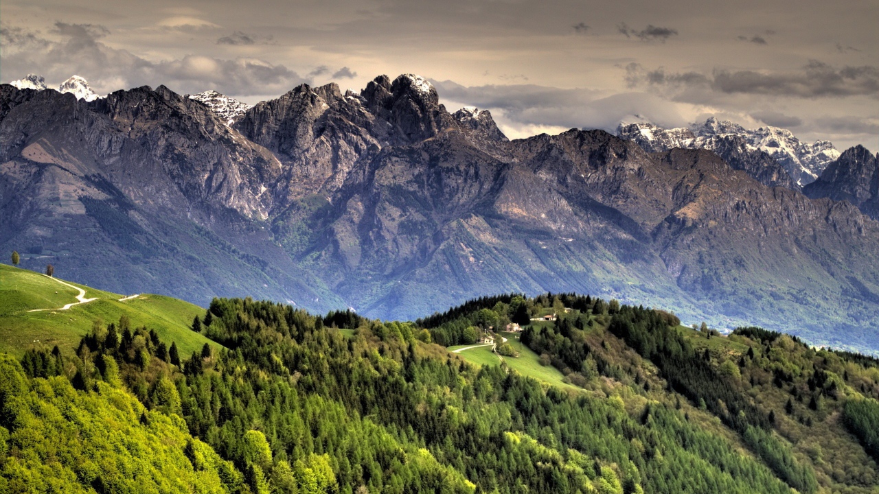 Горный пейзаж с дорогой и лесом