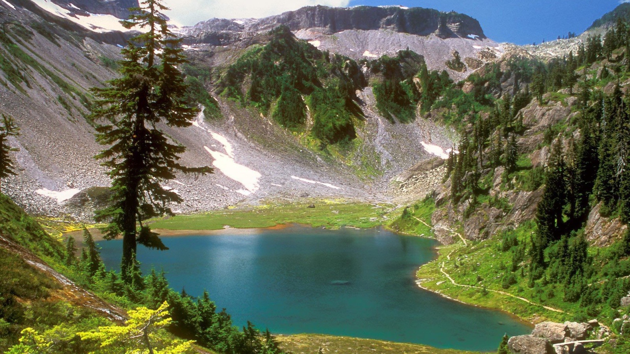 Горный пейзаж с деревом и озером