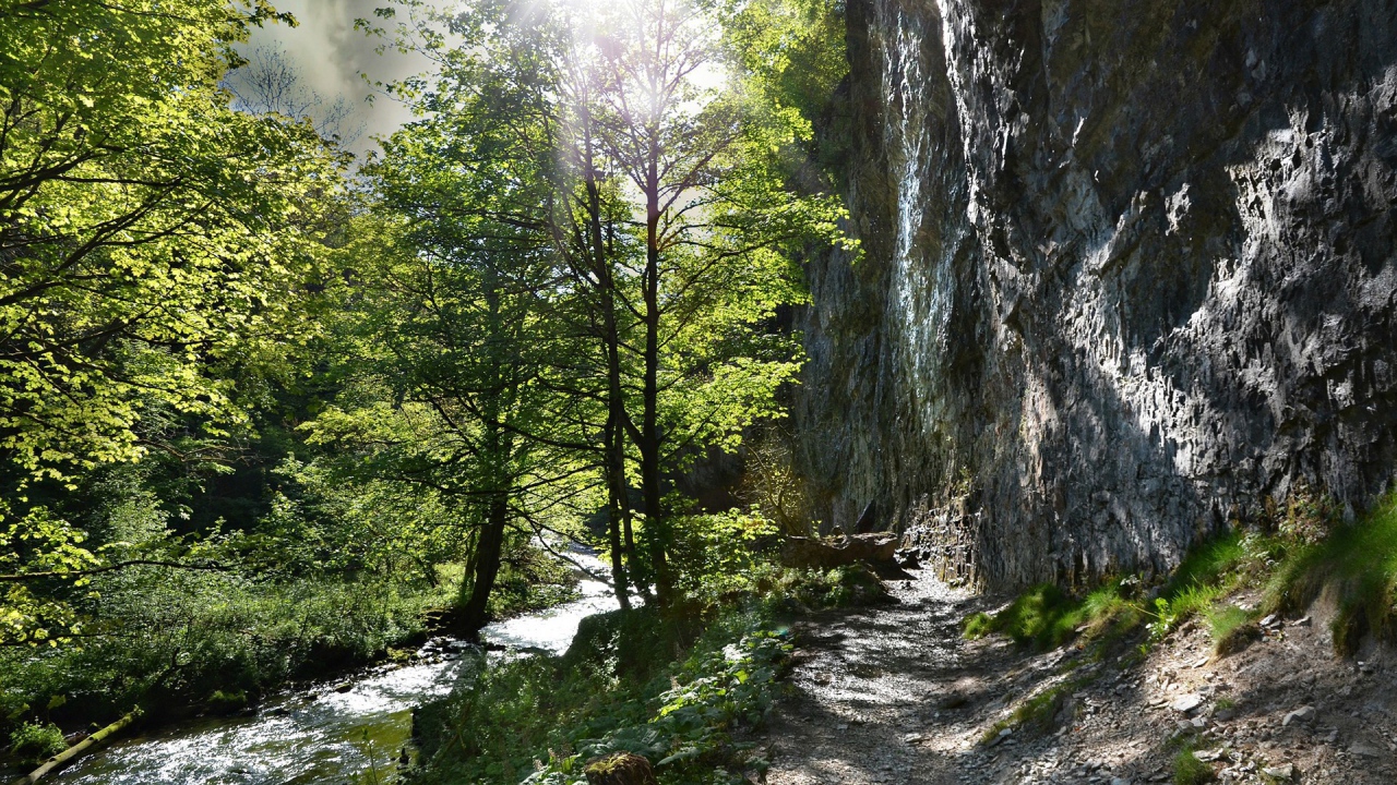 Тропинка в горах