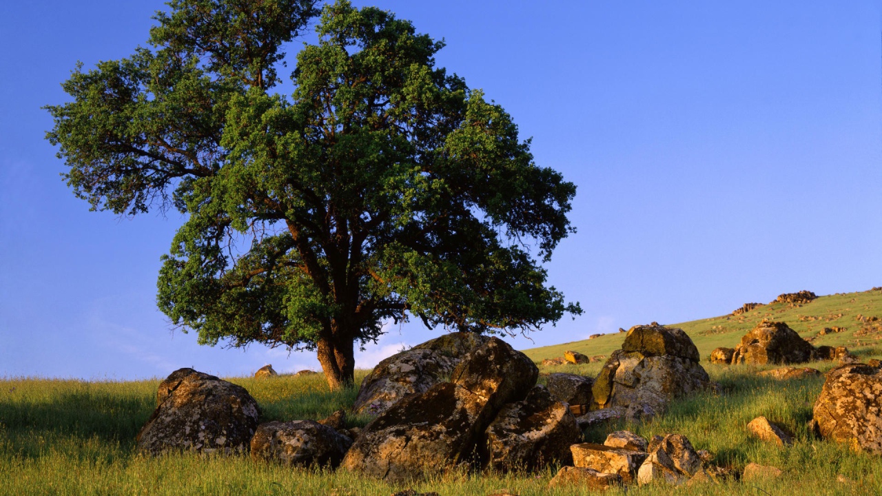 Природа штата Невада