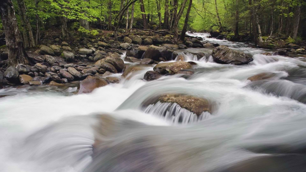Национальный парк Теннессее