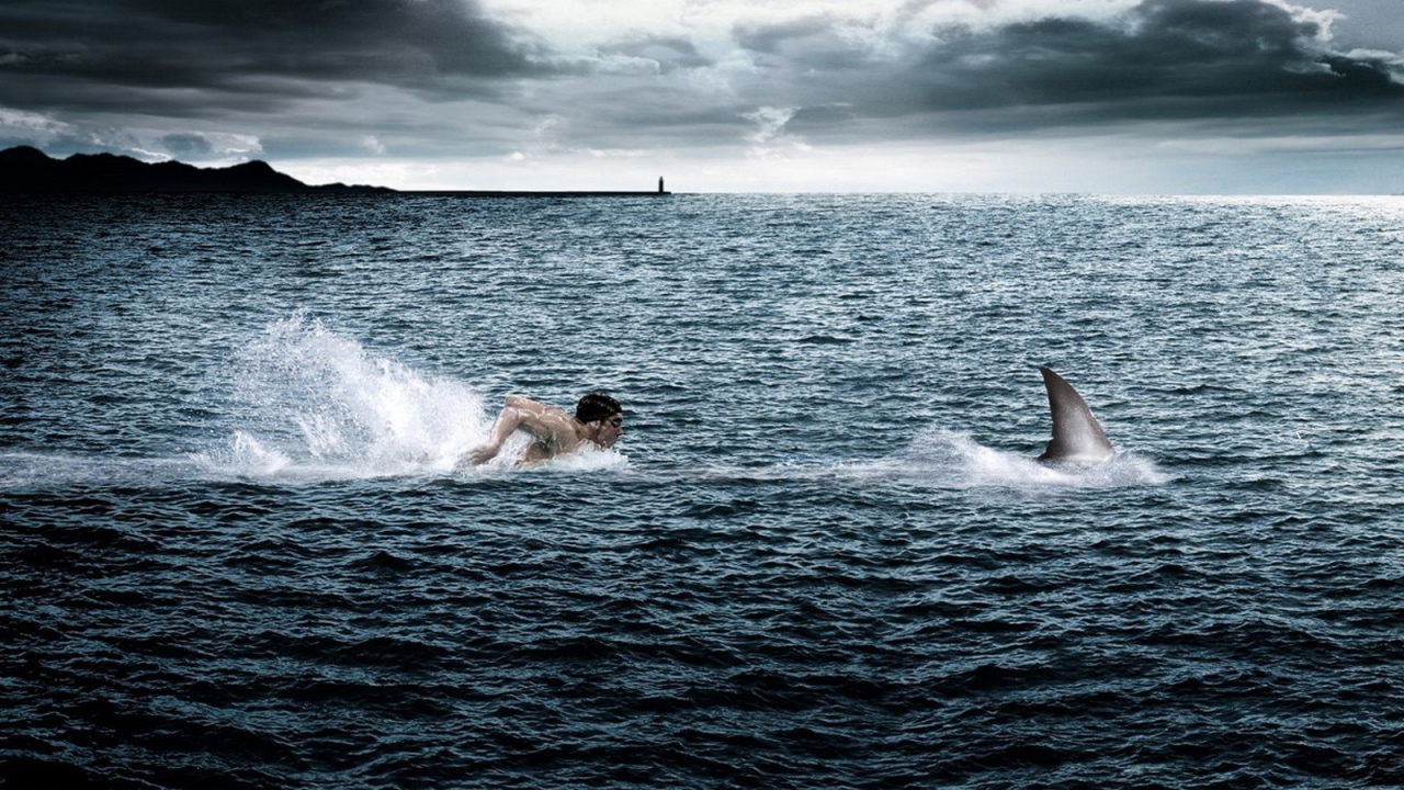 Человек плывет за акулой