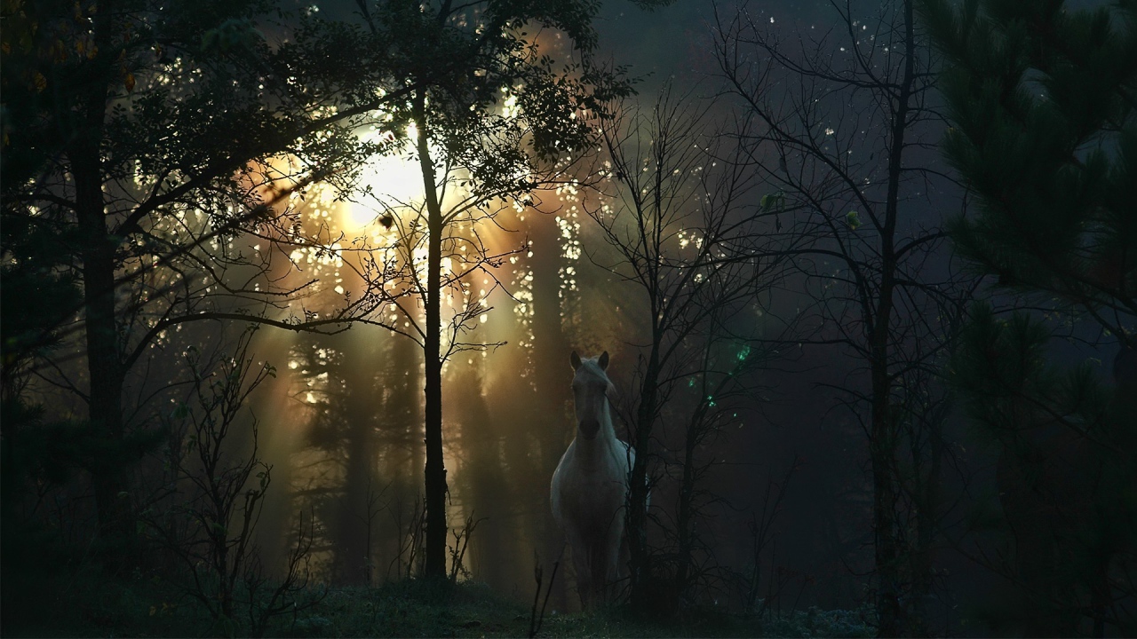 Белая лошадь в осеннем лесу