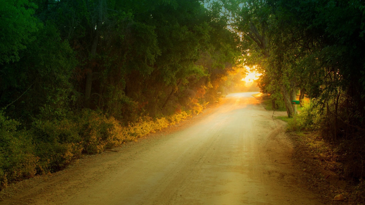 Солнце в дорожном просвете