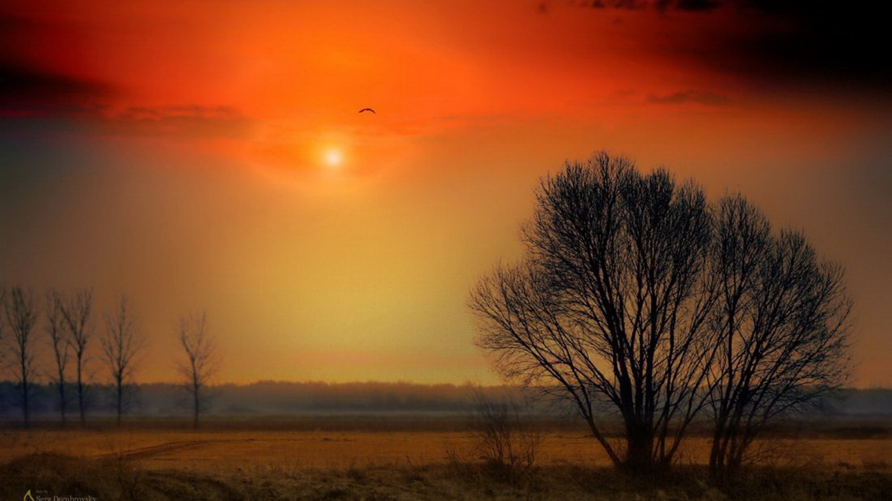 Красочный закат над полем