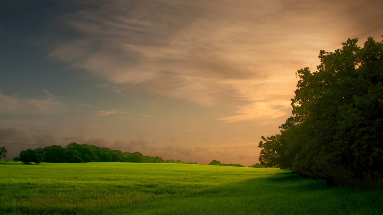 Закат на зеленом поле