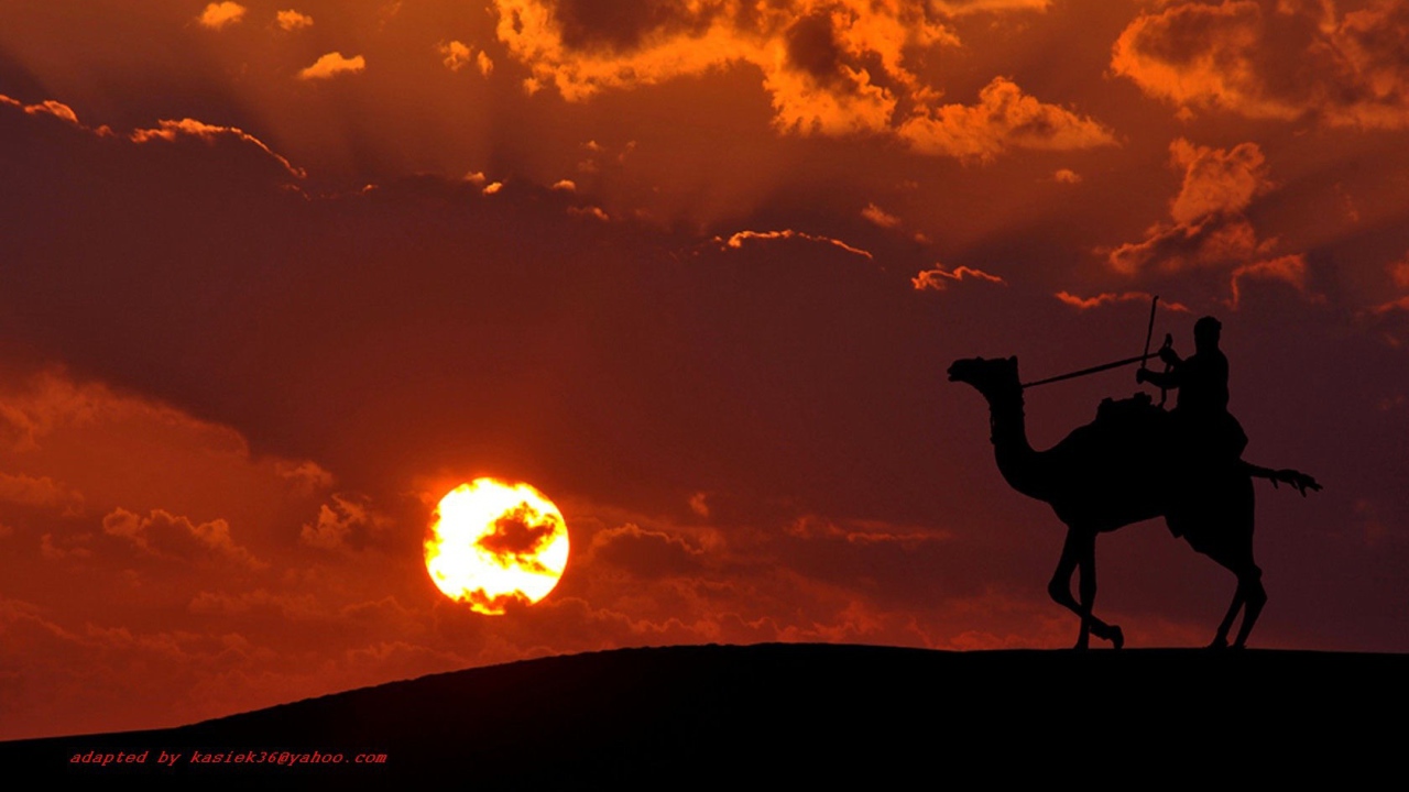 Наездник на верблюде