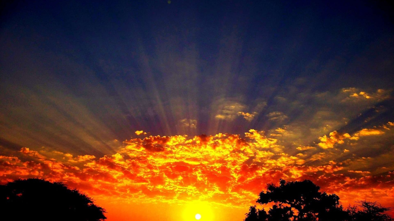 Лучи солнца