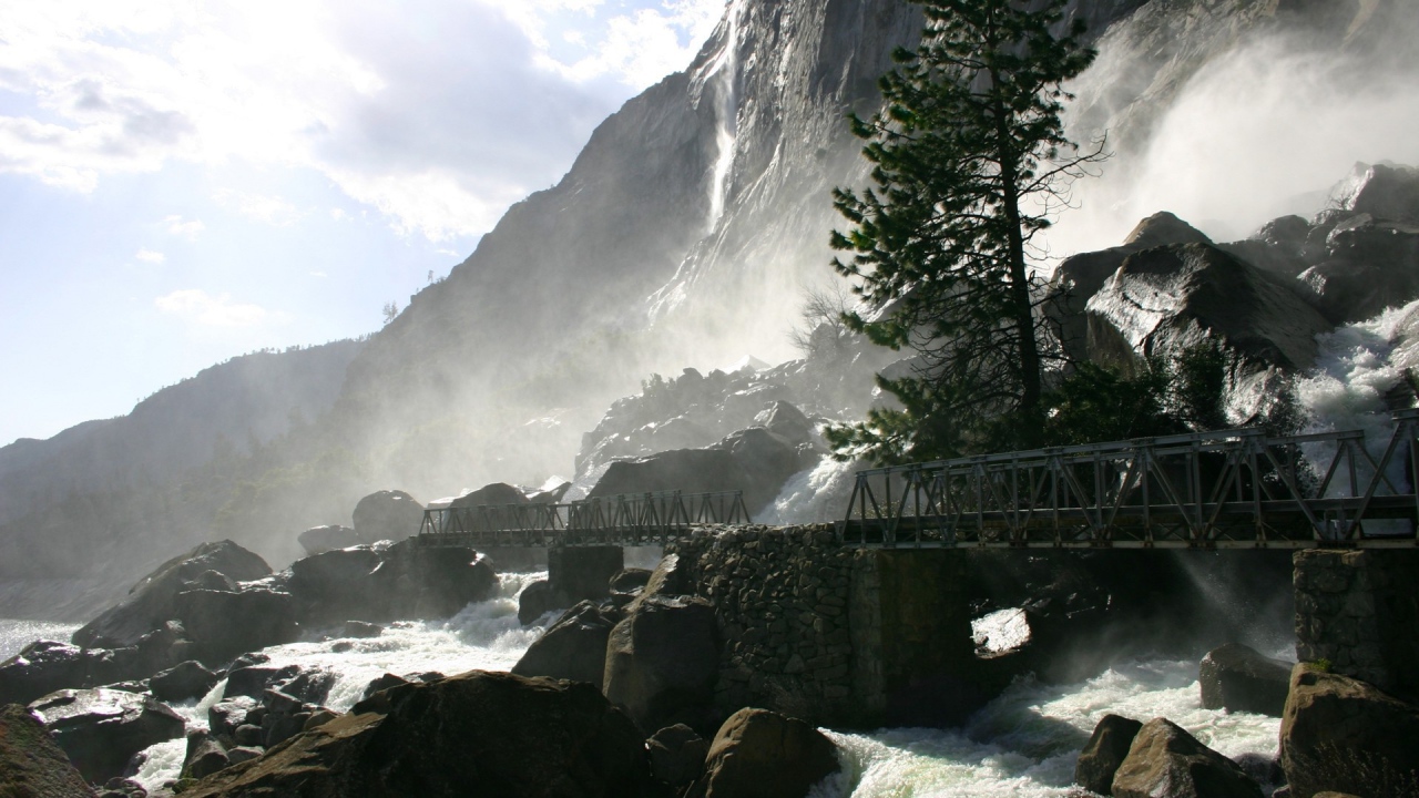 Одинокая сосна у водопада