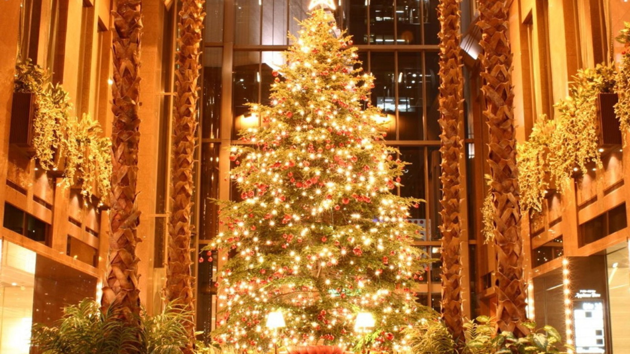 Красивая елка к Новому Году лошади