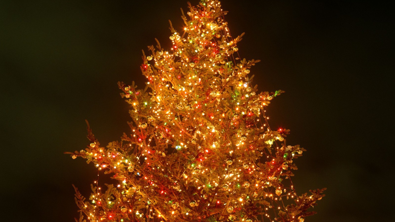 Яркая Новогодняя елка