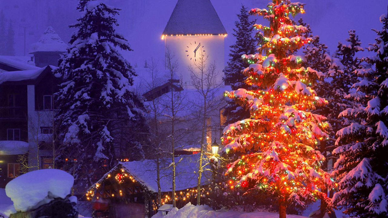 Елка на Новый Год 2014