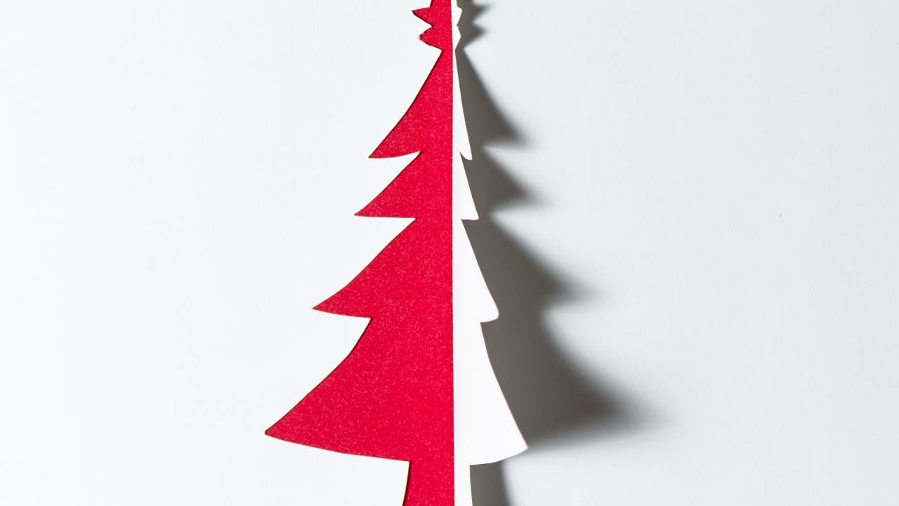 Ёлка в новый год 2014