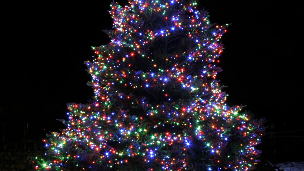 Красочная Новогодняя елка