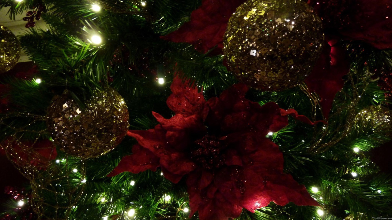 Темная Новогодняя елка