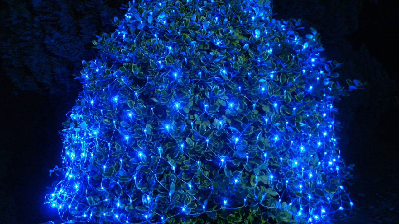 Гирлянда сеть