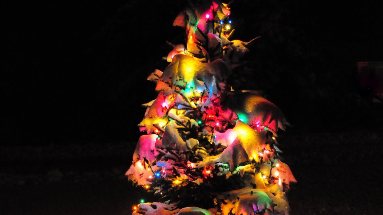 Наша маленькая Новогодняя елка