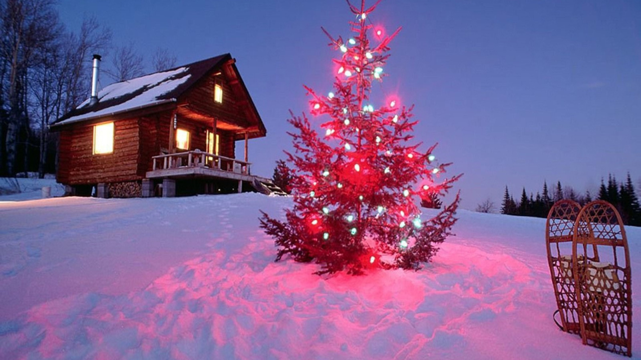 Колючии иголки на новогодней елке