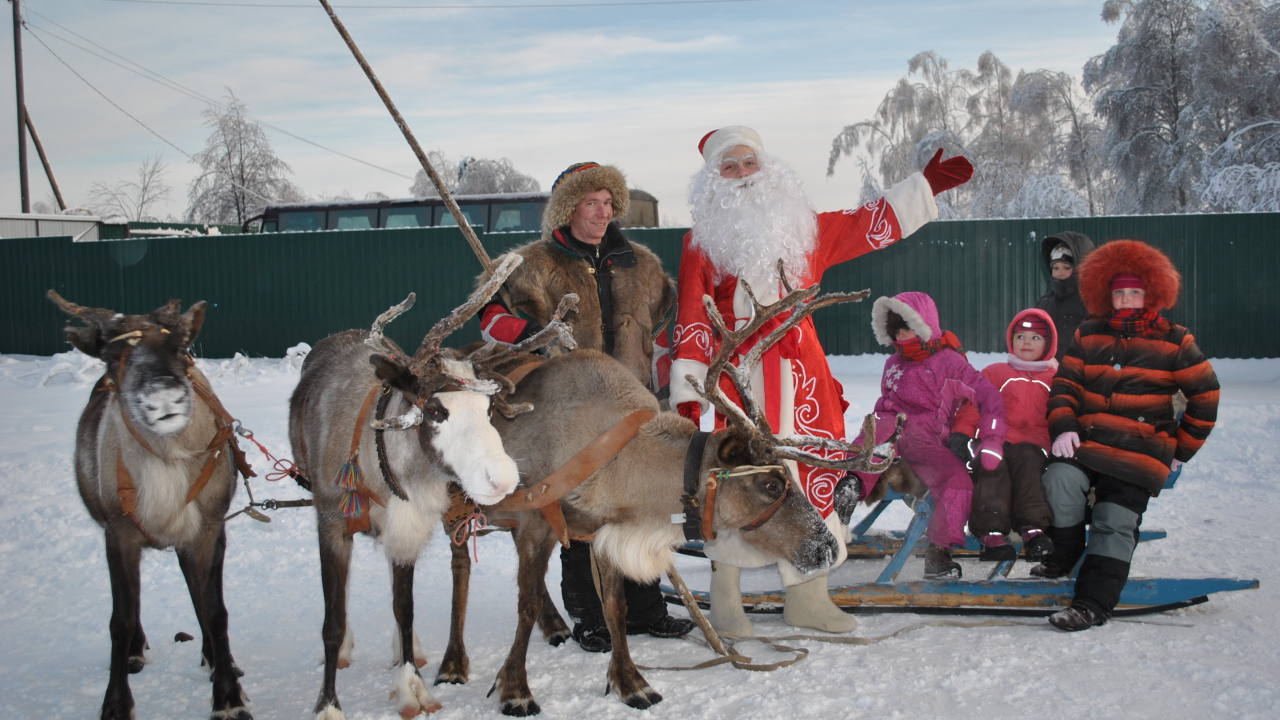 B гости к деду морозу