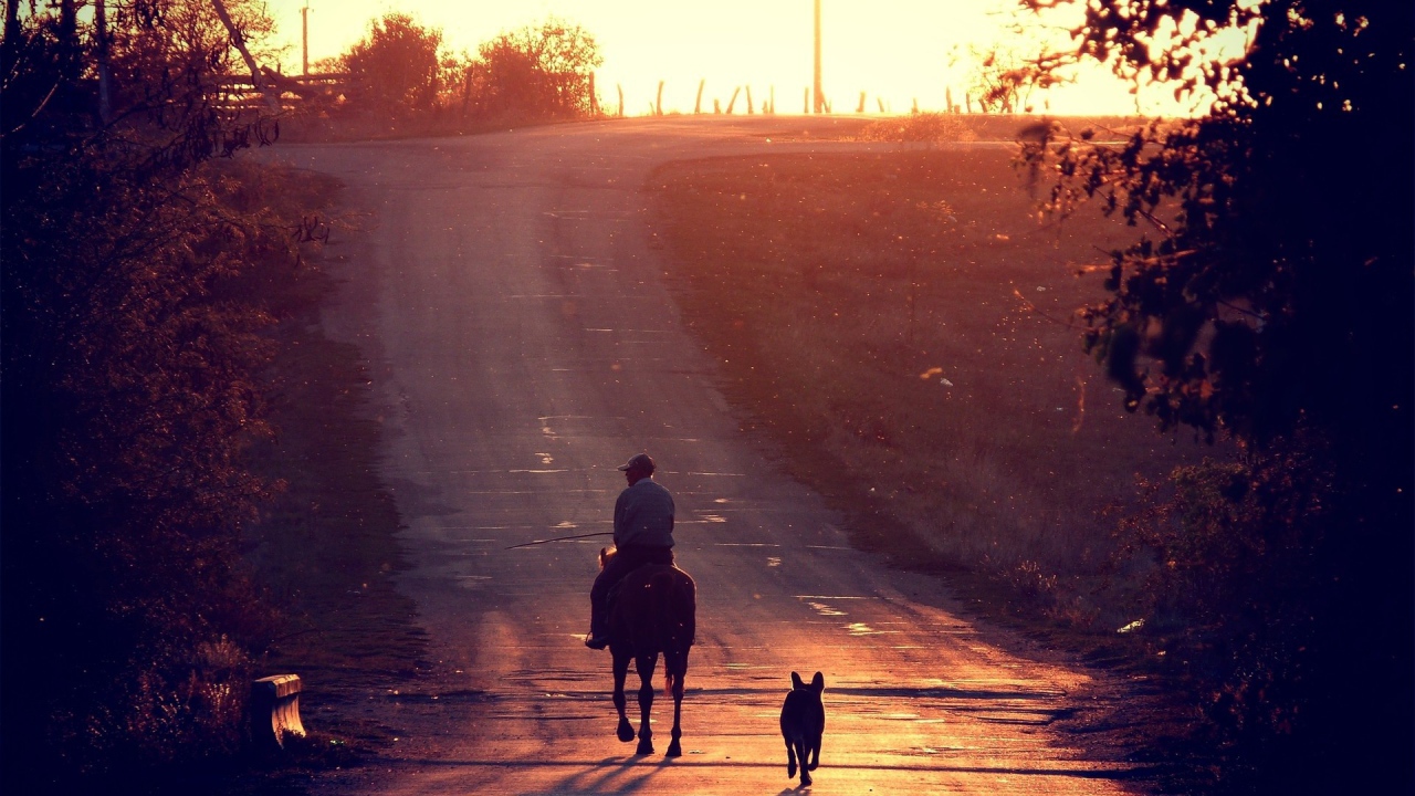 Всадник и собака на прогулке