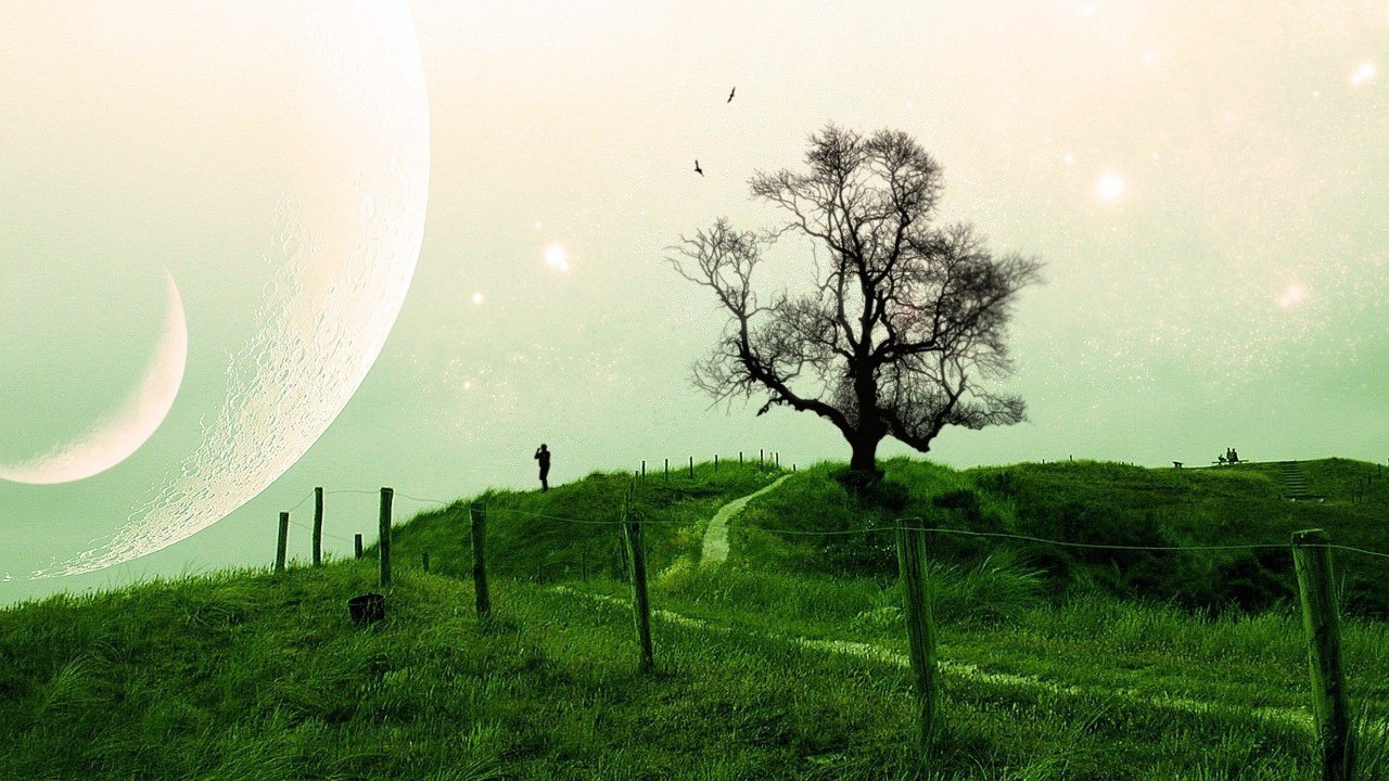 Композиция на тему природа