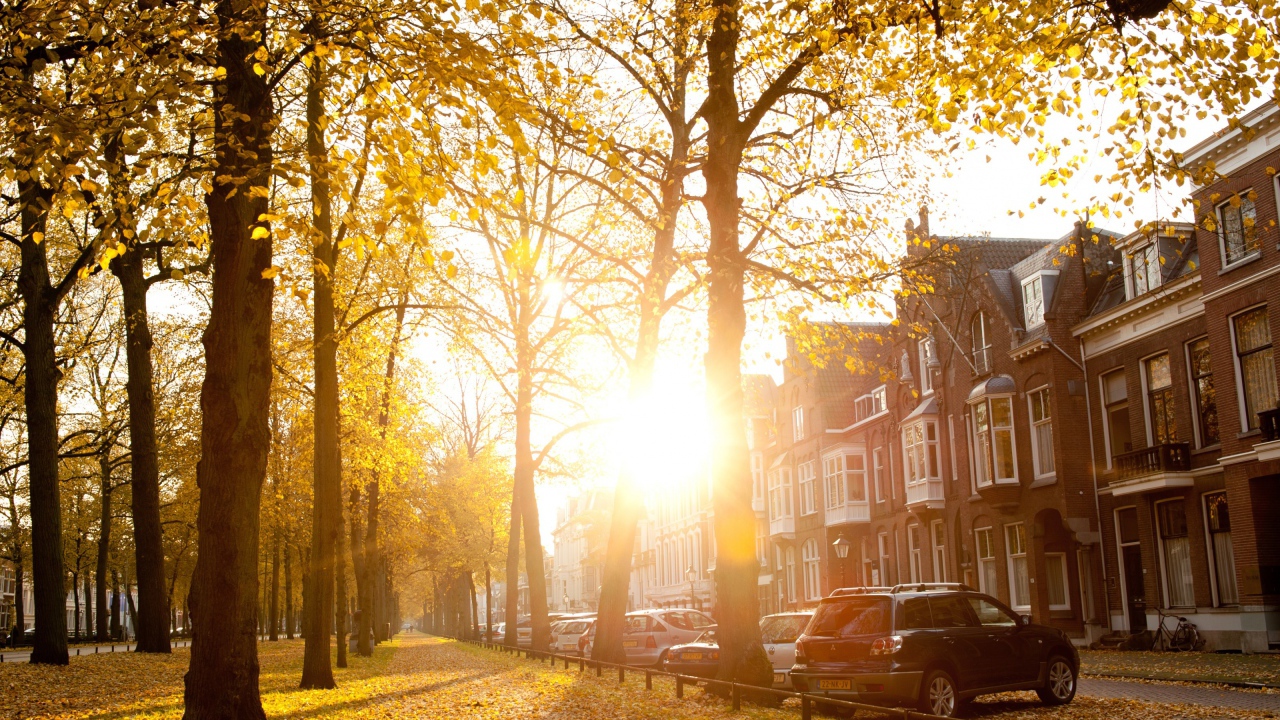 Осенний день в Утрехте