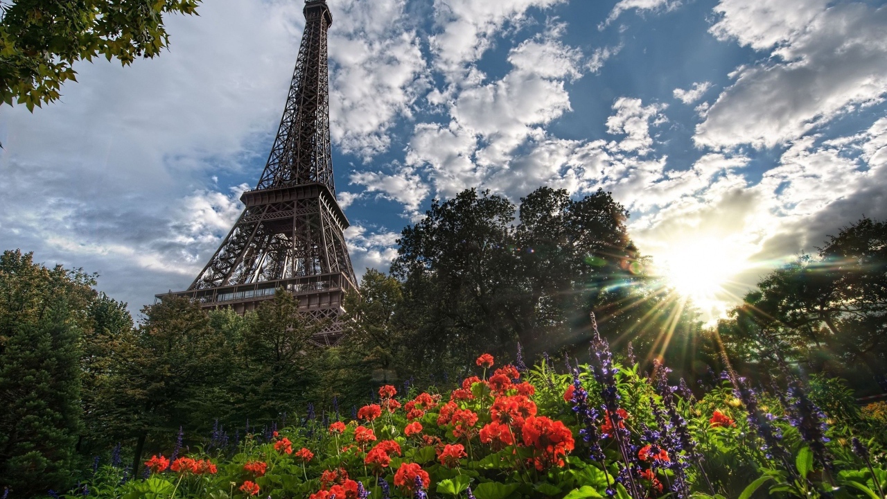 Башня и цветы в Париже