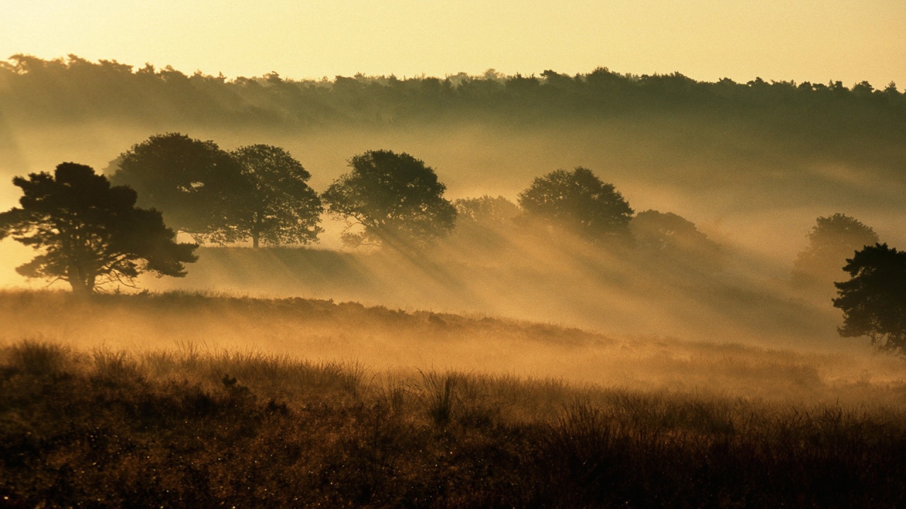 Национальный парк Нидерланды