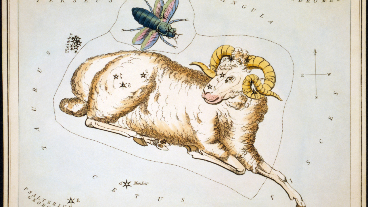 Овен на карте звёздного неба