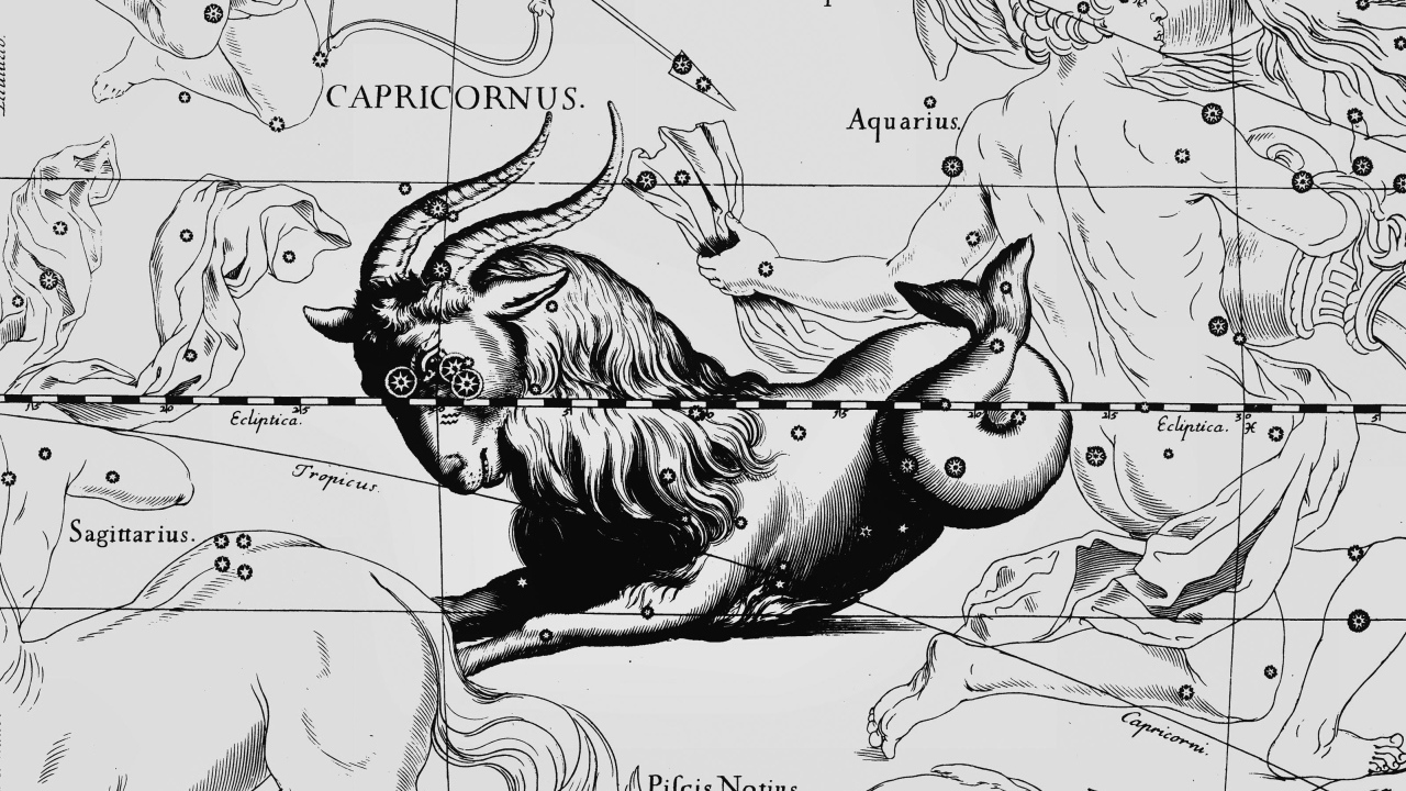 Карта звездного неба, козерог, белый цвет