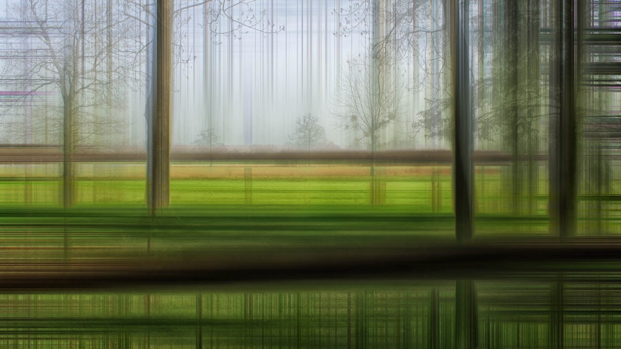 Размытый лес